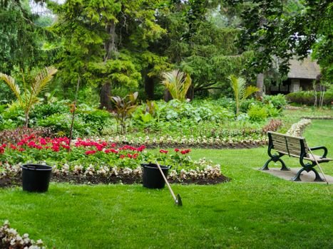 Landscaped garden — recent project 1